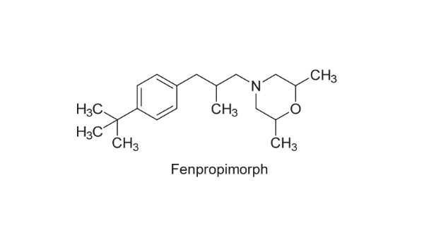 深海鲨烯是什么,深海鲨烯,一种天然生物活性成分