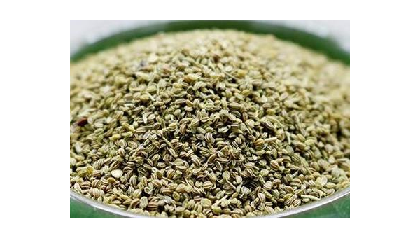 芹菜籽降尿酸是真的吗,芹菜籽降尿酸,这是真的吗?