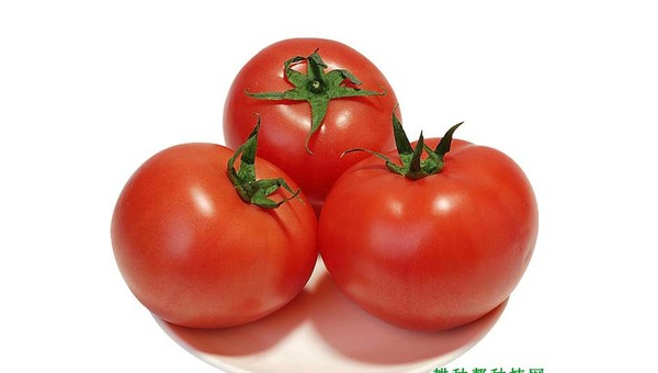 番茄红素 长期服用 副作用是什么,长期服用番茄红素的副作用有哪些?