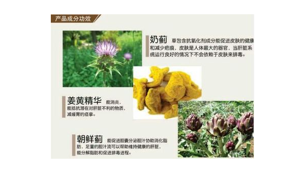 奶蓟提取物有什么作用,奶蓟提取物的作用,你了解其全部功效吗?