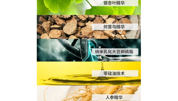 银杏卵磷脂的功效与作用,银杏卵磷脂,其功效与作用之谜?