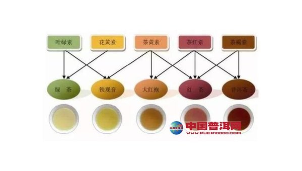 异黄素的功效与作用是什么,异黄素的功效与作用究竟如何?