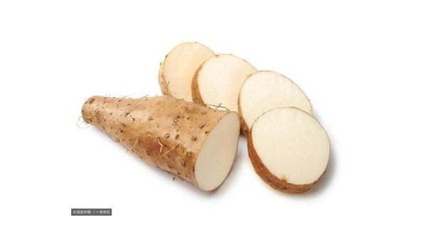 山药葛根功效与作用,山药葛根,功效与作用解析