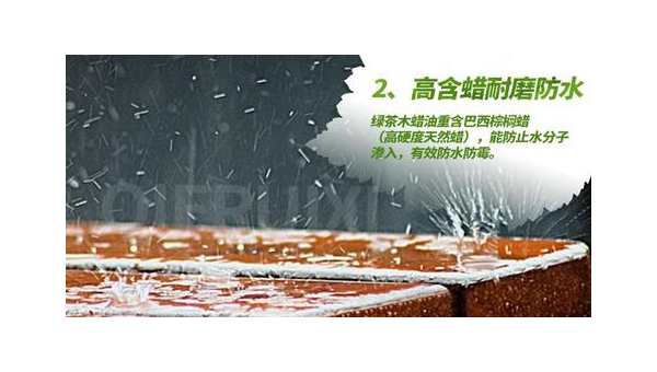 锯棕桐的效用与副作用解析 锯棕桐有没有副作用呢