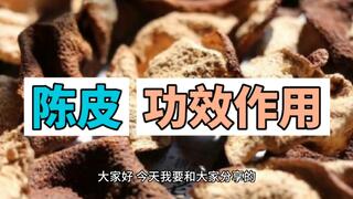 陈皮的功效与作用视频讲解