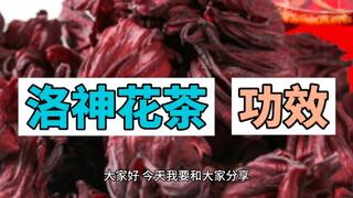 洛神花茶的功效作用视频介绍