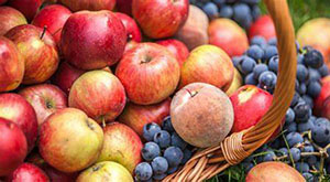 秋天成熟的水果有哪些,哪些是最受欢迎的？