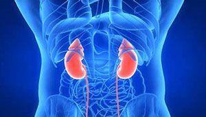 肾阳虚的症状有哪些,你知道吗？如何判断是否患有肾阳虚？