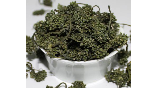 人参花的功效与作用吃法