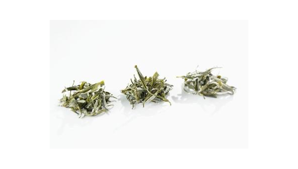 福鼎白茶的功效与作用一年茶三年药