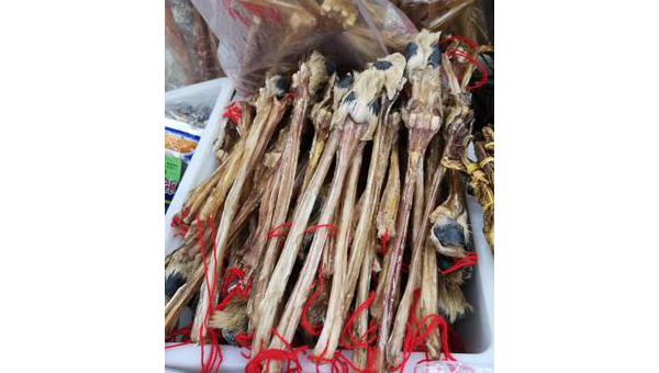 详解驴鞭的功效与作用 食用驴鞭的注意事项