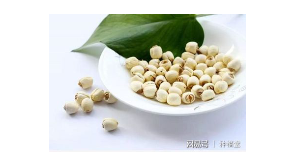 莲心的功效与作用禁忌  莲子心的功效与作用禁忌