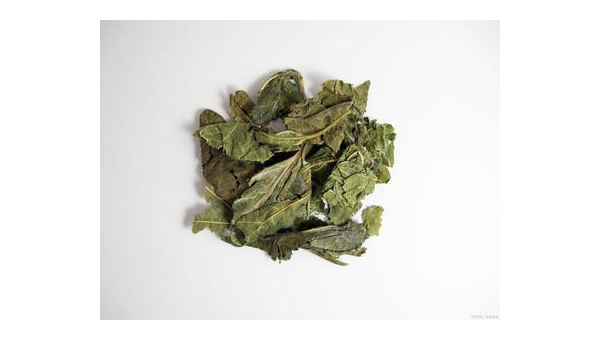 常喝桑叶茶，你可能会收获这些好处！