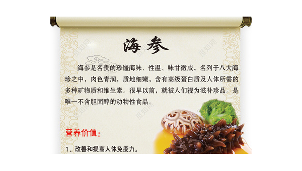 海参的营养价值和功效作用