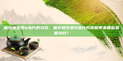 善存维生素b族片的功效，善存维生素B族片究竟能带来哪些显著功效？