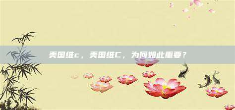 美国维c，美国维C，为何如此重要？