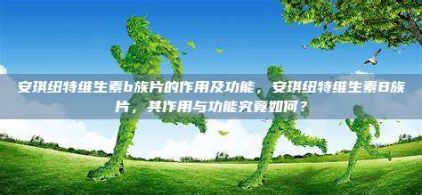 安琪纽特维生素b族片的作用及功能，安琪纽特维生素B族片，其作用与功能究竟如何？