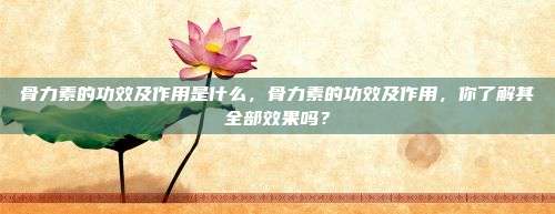 骨力素的功效及作用是什么，骨力素的功效及作用，你了解其全部效果吗？