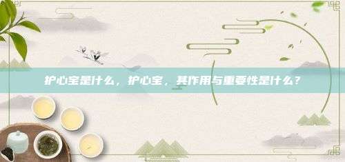护心宝是什么，护心宝，其作用与重要性是什么？