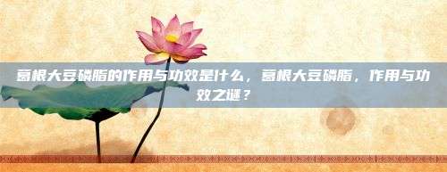 葛根大豆磷脂的作用与功效是什么，葛根大豆磷脂，作用与功效之谜？