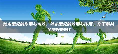 辣木黑杞的作用与功效，辣木黑杞的效用与作用，你了解其全部好处吗？