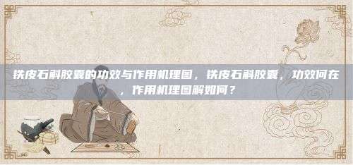 铁皮石斛胶囊的功效与作用机理图，铁皮石斛胶囊，功效何在，作用机理图解如何？