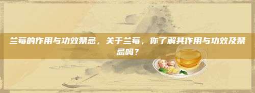 兰莓的作用与功效禁忌，关于兰莓，你了解其作用与功效及禁忌吗？