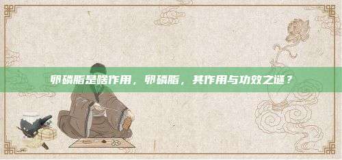 卵磷脂是啥作用，卵磷脂，其作用与功效之谜？