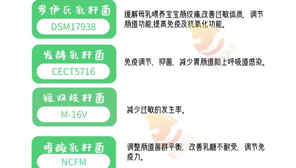 孕妇益生菌的作用及功能与作用，孕妇益生菌，其作用与功能究竟有多重要？