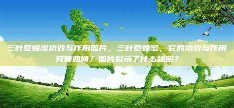 三叶草蜂蜜功效与作用图片，三叶草蜂蜜，它的功效与作用究竟如何？图片揭示了什么秘密？