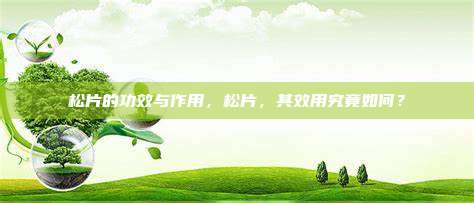 松片的功效与作用，松片，其效用究竟如何？