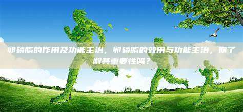卵磷脂的作用及功能主治，卵磷脂的效用与功能主治，你了解其重要性吗？