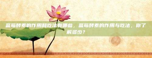 蓝莓酵素的作用和吃法有哪些，蓝莓酵素的作用与吃法，你了解多少？