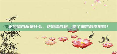 正氮蛋白粉是什么，正氮蛋白粉，你了解它的作用吗？