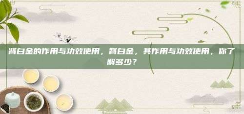 肾白金的作用与功效使用，肾白金，其作用与功效使用，你了解多少？