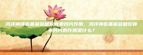 鸿洋神牌氨基葡萄糖软骨素钙片作用，鸿洋神氨基葡萄糖软骨素钙片的作用是什么？