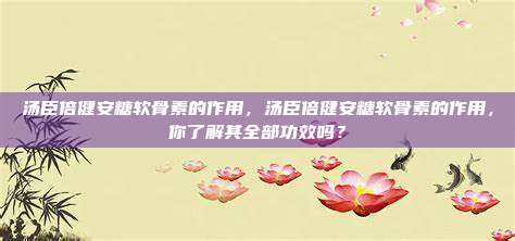 汤臣倍健安糖软骨素的作用，汤臣倍健安糖软骨素的作用，你了解其全部功效吗？