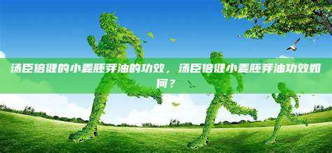 汤臣倍健的小麦胚芽油的功效，汤臣倍健小麦胚芽油功效如何？