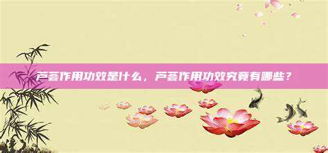 芦荟作用功效是什么，芦荟作用功效究竟有哪些？