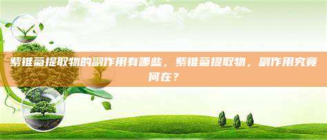 紫锥菊提取物的副作用有哪些，紫锥菊提取物，副作用究竟何在？