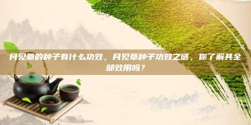 月见草的种子有什么功效，月见草种子功效之谜，你了解其全部效用吗？