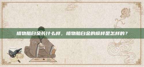植物脑白金长什么样，植物脑白金的模样是怎样的？