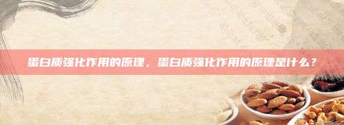 蛋白质强化作用的原理，蛋白质强化作用的原理是什么？