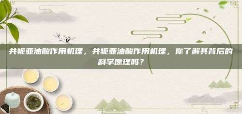 共轭亚油酸作用机理，共轭亚油酸作用机理，你了解其背后的科学原理吗？