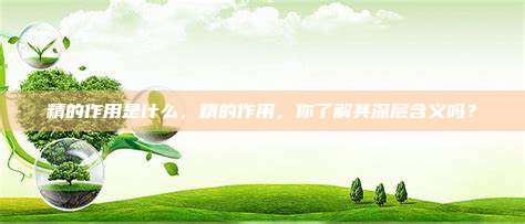 精的作用是什么，精的作用，你了解其深层含义吗？