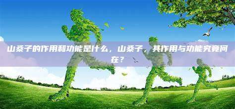 山桑子的作用和功能是什么，山桑子，其作用与功能究竟何在？