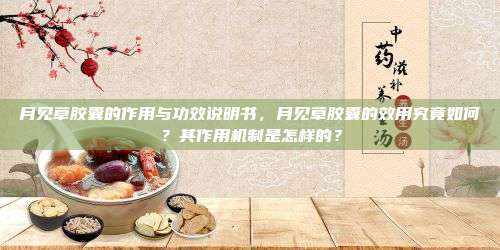 月见草胶囊的作用与功效说明书，月见草胶囊的效用究竟如何？其作用机制是怎样的？