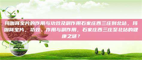 玛咖肾宝片的作用与功效及副作用石家庄西三庄到北站，玛咖肾宝片，功效、作用与副作用，石家庄西三庄至北站的健康之谜？