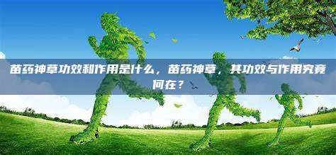 苗药神草功效和作用是什么，苗药神草，其功效与作用究竟何在？