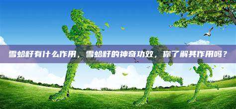 雪蛤籽有什么作用，雪蛤籽的神奇功效，你了解其作用吗？